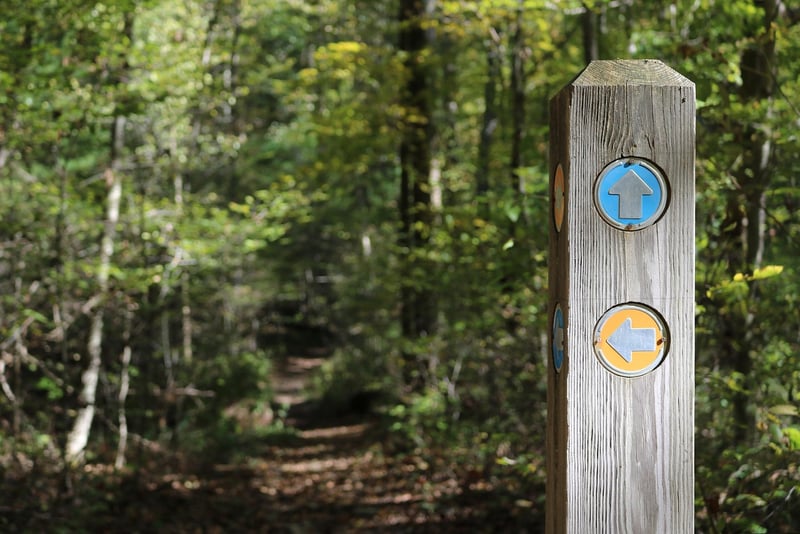 Upcycled plant markers
